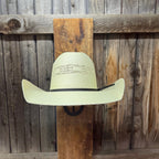Twister Bangora 4 1/4" Brim